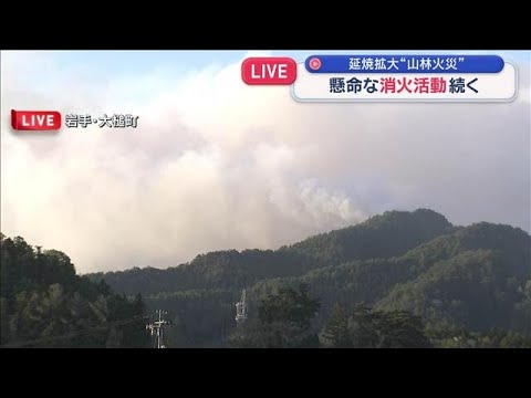 懸命な消火活動続く　延焼拡大　岩手“山林火災”高校生がボランティア活動も【スーパーJチャンネル】(2026年4月25日) サムネイル