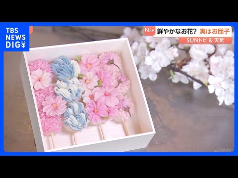 鮮やかなお花？実はお花みたいな白あんと天然色素のお団子【SUNトピ】｜TBS NEWS DIG サムネイル