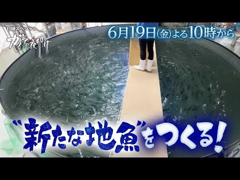 ガイアの夜明け【“新たな地魚”をつくる！】予告 サムネイル