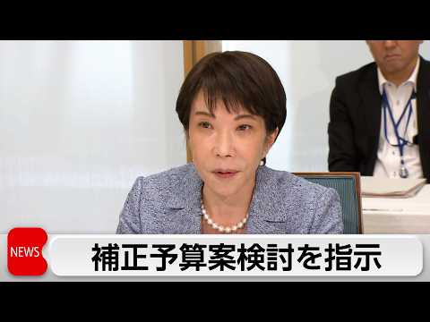 高市総理　補正予算の編成検討を指示　電気・ガス代対策へ サムネイル