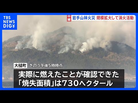 岩手・大槌町の山林火災 4日目も延焼続く　規模拡大して消火活動　避難指示エリア拡大で対象は1541世帯3233人に｜T…