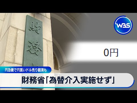 財務省 12月末～1月に「為替介入実施せず」 円急騰で円買いドル売り観測も【WBS】 サムネイル