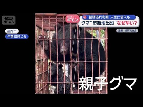 街のド真ん中にクマ“市街地出没”なぜ早い？【スーパーJチャンネル】(2026年5月14日) サムネイル