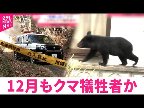 【冬眠しないクマ】12月も被害 相次ぐ出没と今後の課題　宮城　NNNセレクション サムネイル