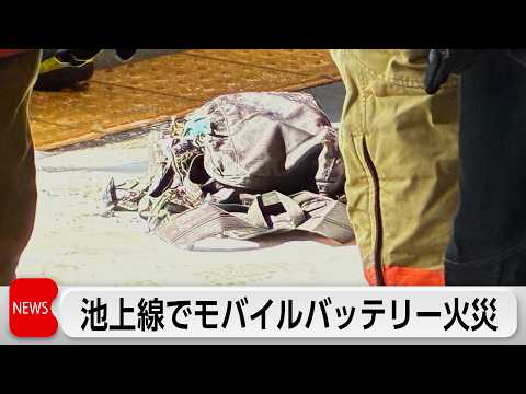 東急池上線・電車でモバイルバッテリーが発火　女性が腕に軽いやけど サムネイル