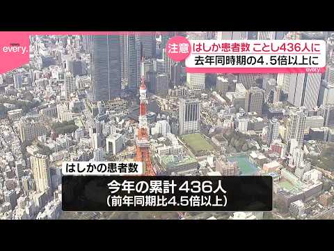 【はしか】去年同時期の4.5倍以上と高止まり  ことしの感染者数累計436人に サムネイル