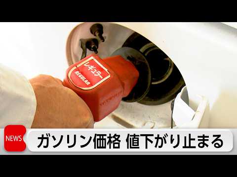 ガソリン価格横ばい 食品容器包装めぐり政府と業界団体が情報交換 サムネイル