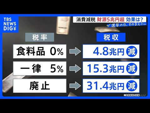 ほとんどの与野党が「消費税減税」掲げる　効果は？財源は？ 食料品のみ0％4.8兆円　一律5％15.3兆円　消費税撤廃3… サムネイル