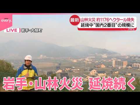 【岩手･山林火災】約1176ヘクタール焼失…“国内2番目”の規模に  延焼続く サムネイル