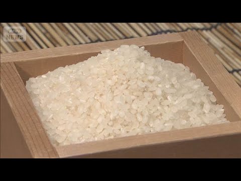 コメ平均販売価格　2週連続3600円台　3673円/5kg（前週比－19円）(2026年6月5日) サムネイル