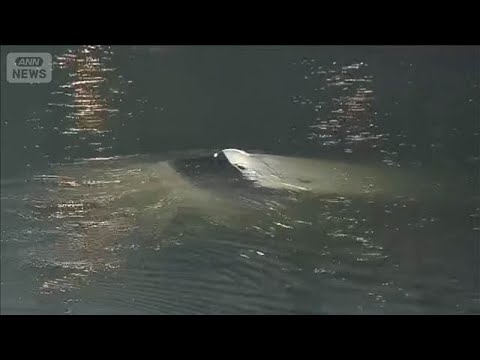 衝突事故で女を現行犯逮捕　車が川へ転落　女性（59）死亡(2026年4月2日)