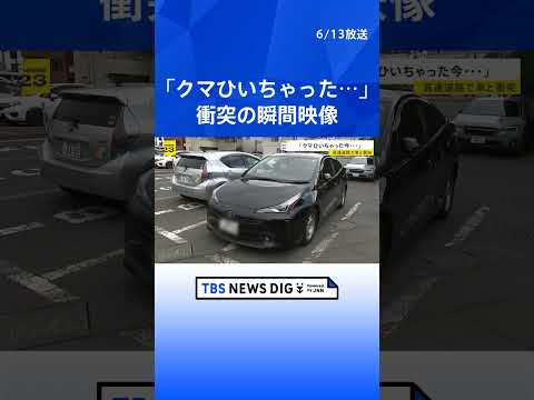 【ドラレコ映像】岩手・東北道を走行中の車にクマが衝突　中央分離帯から突然の飛び出し バンパーが割れ車体には毛が付着　2… サムネイル
