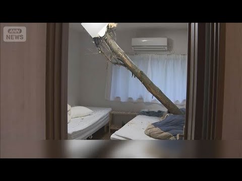 GW天気大荒れ　自宅に大木突き刺さる　強風でフェス中止　東京湾アクアライン通行止め【もっと知りたい！】【グッド！モーニ… サムネイル