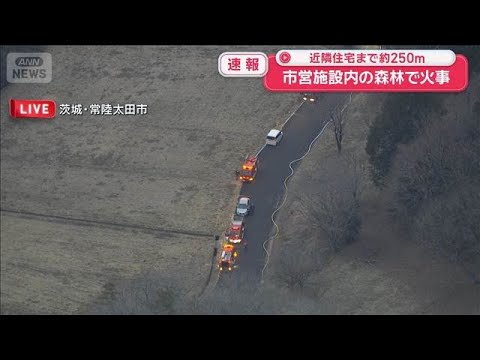 近隣住宅まで約250m　市営施設内の森林で火事　茨城・常陸太田市【スーパーJチャンネル】(2026年2月21日) サムネイル