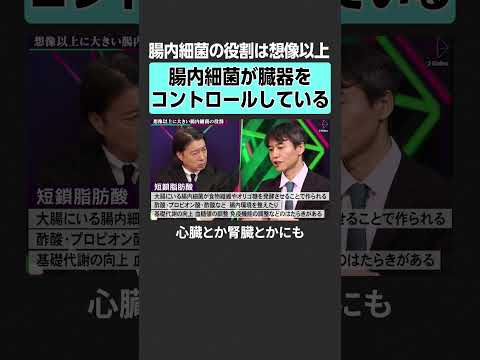 【フィジカルマネジメント】腸内細菌がカギを握る？2sides 加藤浩次 片野秀樹 石黒成治 健康 休養 疲労 リカバリ…