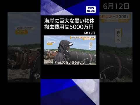 【ニュース】石川県の海岸に巨大な黒い物体　海底の土砂撤去用ホース　表面に中国メーカーの名　shorts サムネイル