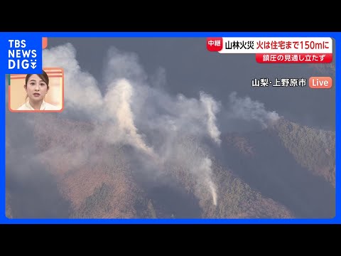 【山梨・上野原市の山林火災】鎮圧の見通し立たず｜TBS NEWS DIG サムネイル
