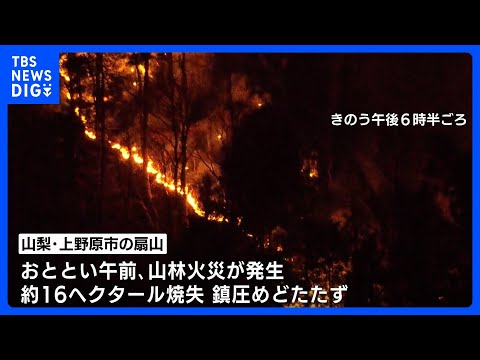 山梨・上野原市の山林火災　火は最も近い住宅まで約50ｍに迫る｜TBS NEWS DIG サムネイル