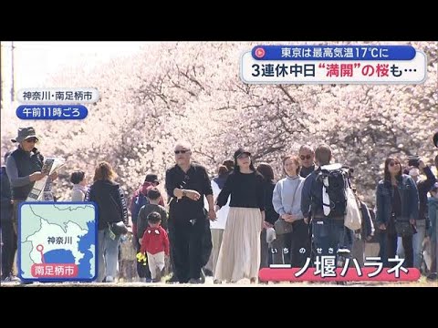 東京は最高気温17℃に　3連休中日は晴天で…桜も開花【スーパーJチャンネル】(2026年3月21日)