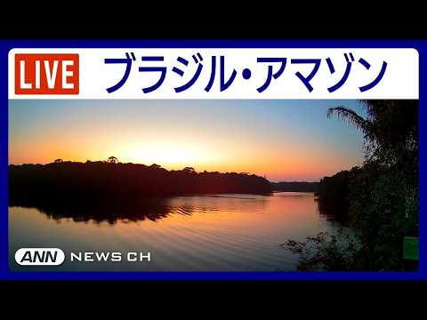 【LIVE】癒しの熱帯 アマゾンのジャングルから24時間配信　夜明けの空を横切るインコの群れ　夜の川に響くカエルと昆虫… サムネイル