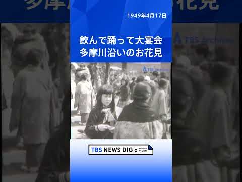 飲んで踊って大宴会　多摩川沿いのお花見｜TBS NEWS DIG shorts
