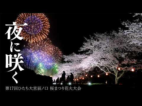 【ハイライト】桜×花火　春の夜空を彩る大輪の華　第17回ひたち大宮辰ノ口 桜まつり 花火大会（2026年4月4日） サムネイル
