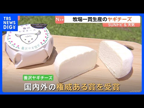 新緑の季節に…日本で珍しい「ヤギチーズ」製造の牧場を取材　春～秋の限られた期間のみ搾乳　開業数年で国内外で受賞歴も【S… サムネイル