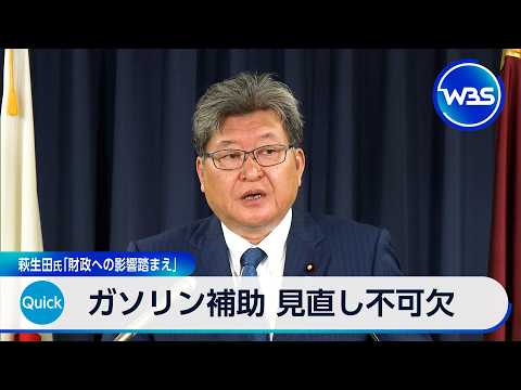 ガソリン補助 見直し不可欠 萩生田氏「財政への影響踏まえ」【WBS】 サムネイル