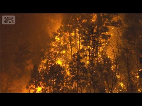 乾燥続き『林野火災注意報』発令中…火が住宅に迫る　山梨県は災害派遣要請【報道ステーション】(2026年1月8日)