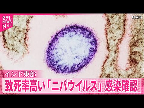 【インド東部】致死率高い「ニパウイルス」感染例を2件確認  周辺国の空港で検査強化 サムネイル