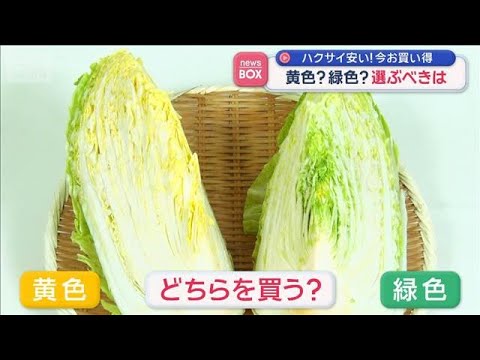 ハクサイ安い！今お買い得　選ぶべきは黄色？緑色？【スーパーJチャンネル】(2026年4月7日) サムネイル