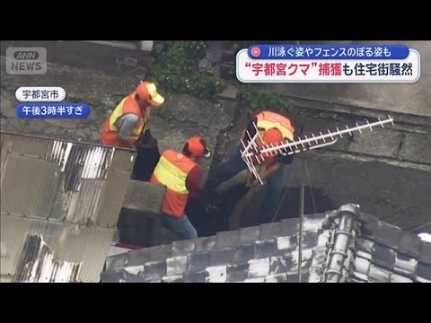 “宇都宮クマ”捕獲の瞬間　2頭以上いる恐れで住民不安【スーパーJチャンネル】(2026年6月9日) サムネイル