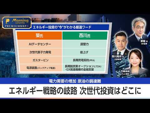 AIバブルの裏で起きる電力爆発！プロが選ぶ次世代エネルギー投資戦略と日米の注目株 【モーサテプレミアムセミナー】 サムネイル