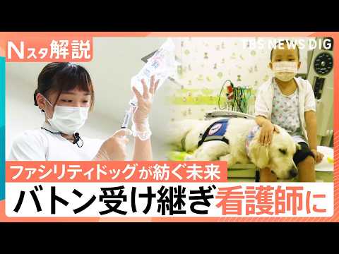 「恩返しのために看護師になりたい」 ファシリティドッグが紡ぐ未来　一人の少女が受け取ったバトン【Nスタ解説】｜TBS… サムネイル