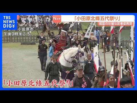 毎年恒例「北條五代祭り」開かれる　神奈川･小田原城で“武者行列” 今年は八王子市･寄居町と姉妹都市提携10周年のイベン… サムネイル