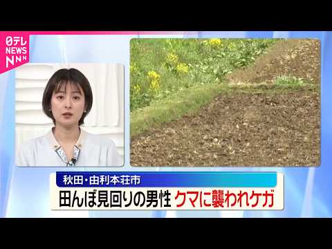 【クマに襲われケガ】今年初の人への被害  田んぼ見回り中の男性  秋田 サムネイル