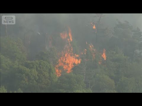 広島・福山市で発生の山林火災　約15ha焼失　鎮火めど立たず(2026年5月18日) サムネイル