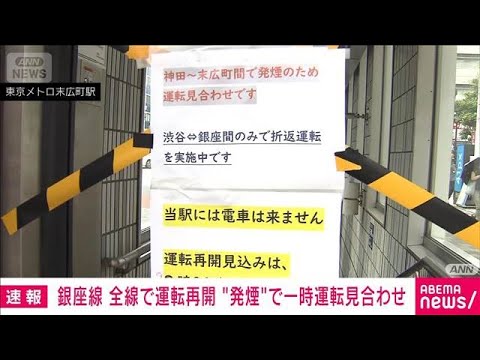 東京メトロ銀座線　全線で運転再開　“発煙”で銀座～浅草で一時運転見合わせ(2026年5月29日) サムネイル