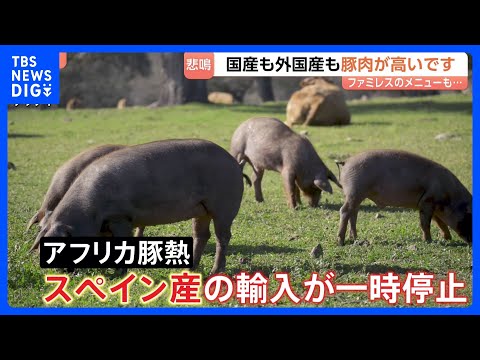 家計の味方だったのに…豚肉が高い！「1キロで300円上がった」スペイン産輸入停止で値上がり　サイゼリアの「生ハム」は販… サムネイル