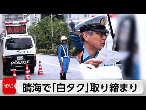 「晴海フラッグ」で訪日客対象の白タク一斉取り締まり サムネイル