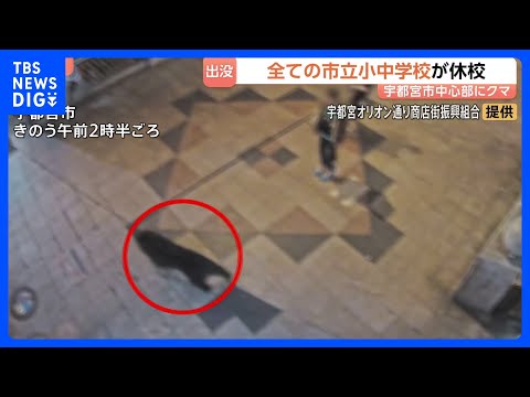 「一目で鳥肌が立った」カメラが捉えた疾走するクマ…目撃情報相次ぐ　すべての市立小中学校が臨時休校 “中学校の校庭でも目… サムネイル