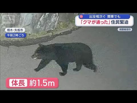 関東でもクマ出没相次ぐ　深夜の住宅敷地内を「クマが通った」住民緊迫【スーパーJチャンネル】(2026年6月5日) サムネイル