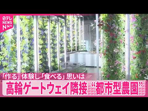 【“都市型農園”】高輪ゲートウェイ隣接施設  「作る」体験し「食べる」思いは