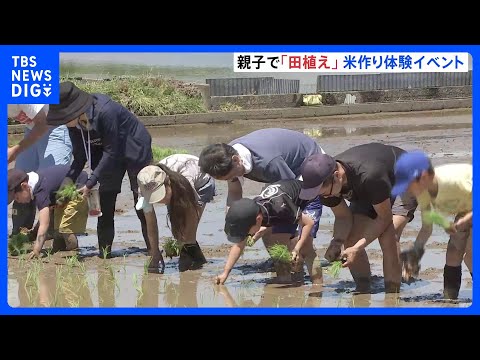 「楽しかった！」子どもたちが泥まみれで田植え体験　神奈川・小田原市｜TBS NEWS DIG サムネイル