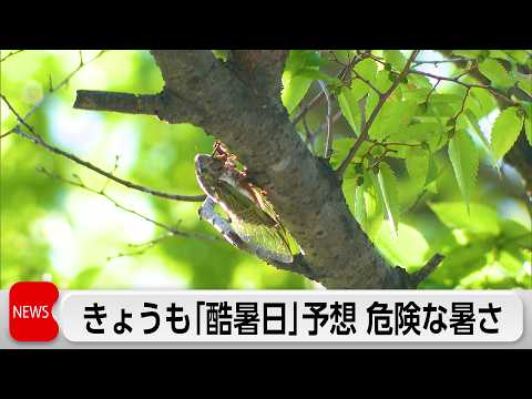 23日も各地で"酷暑日”予想 東京の熱中症搬送は過去最多更新