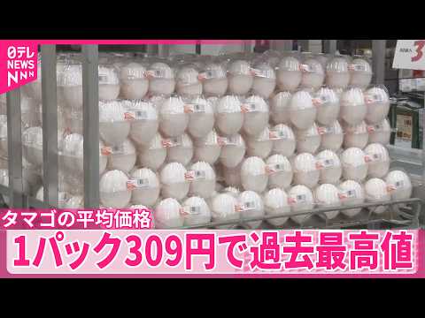 【タマゴ平均価格】1パック309円  過去最高値を更新