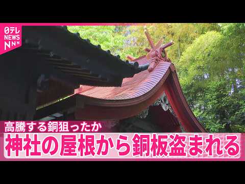 【高騰する銅狙ったか】神社の屋根から銅板盗まれる…約200キロ サムネイル
