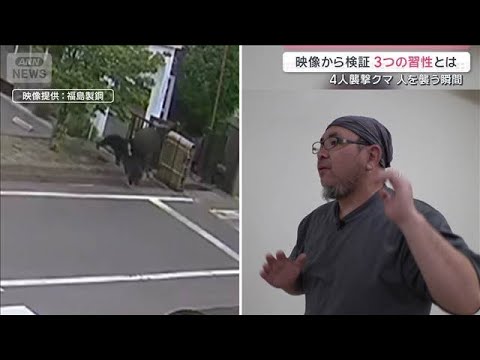 【映像検証】クマ襲撃の瞬間映像からみえた“3つの習性”と“とるべき行動”とは【サタデーステーション】(2026年6月6… サムネイル
