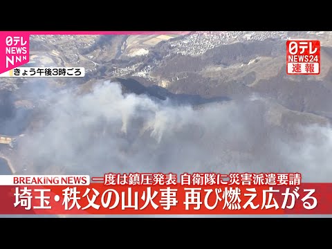 【速報】埼玉・秩父の山火事、再び燃え広がる  一度は鎮圧発表  自衛隊に災害派遣要請 サムネイル