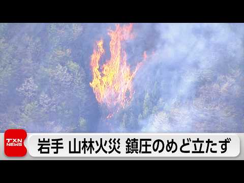 岩手県の山林火災 鎮圧のめど立たず サムネイル